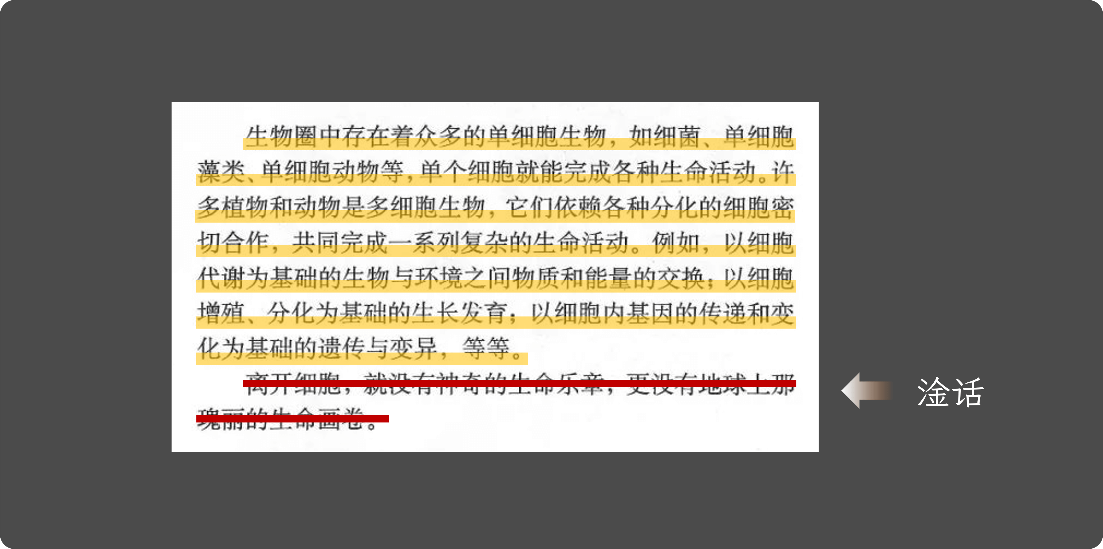 随便打开必修一挑一页