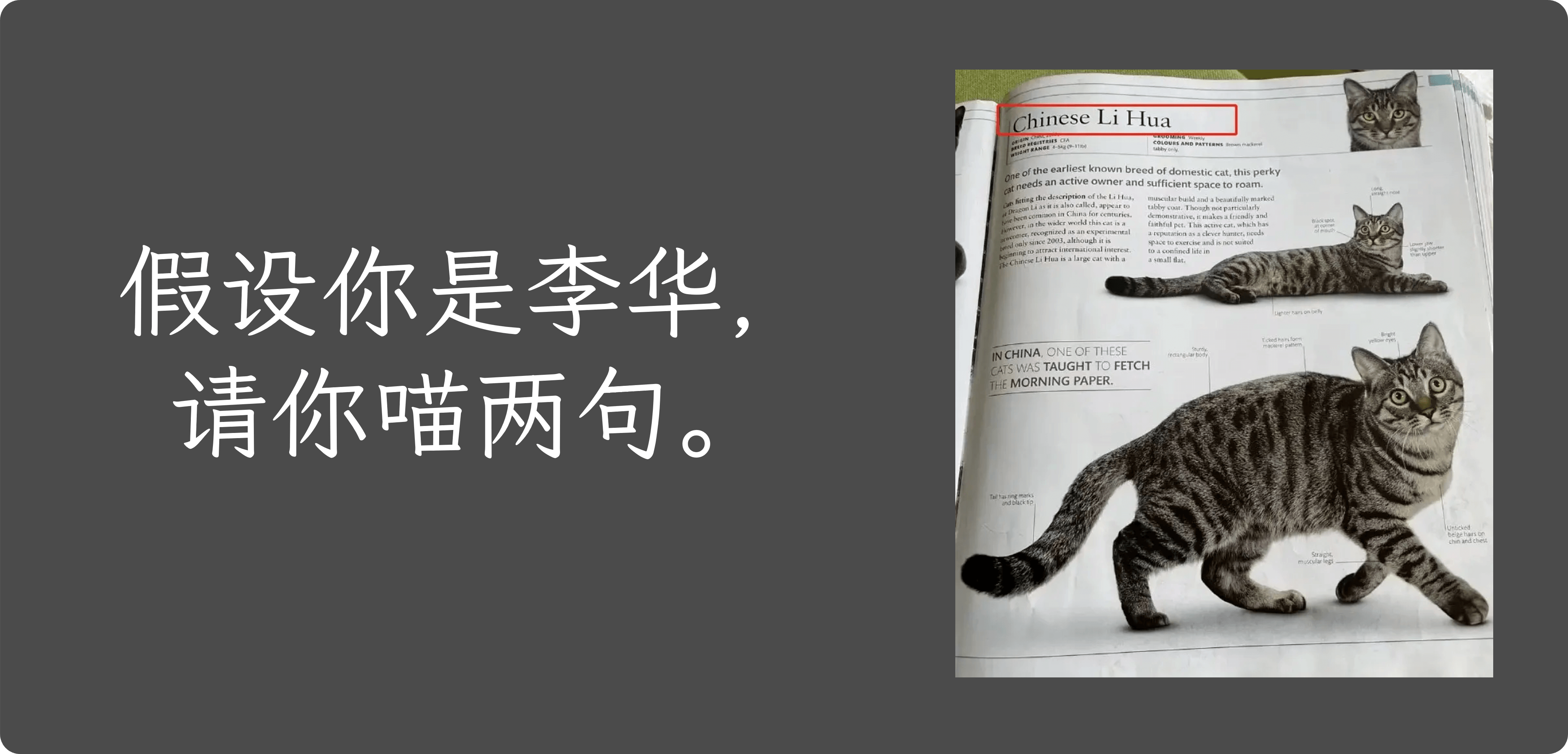 假设你是李华