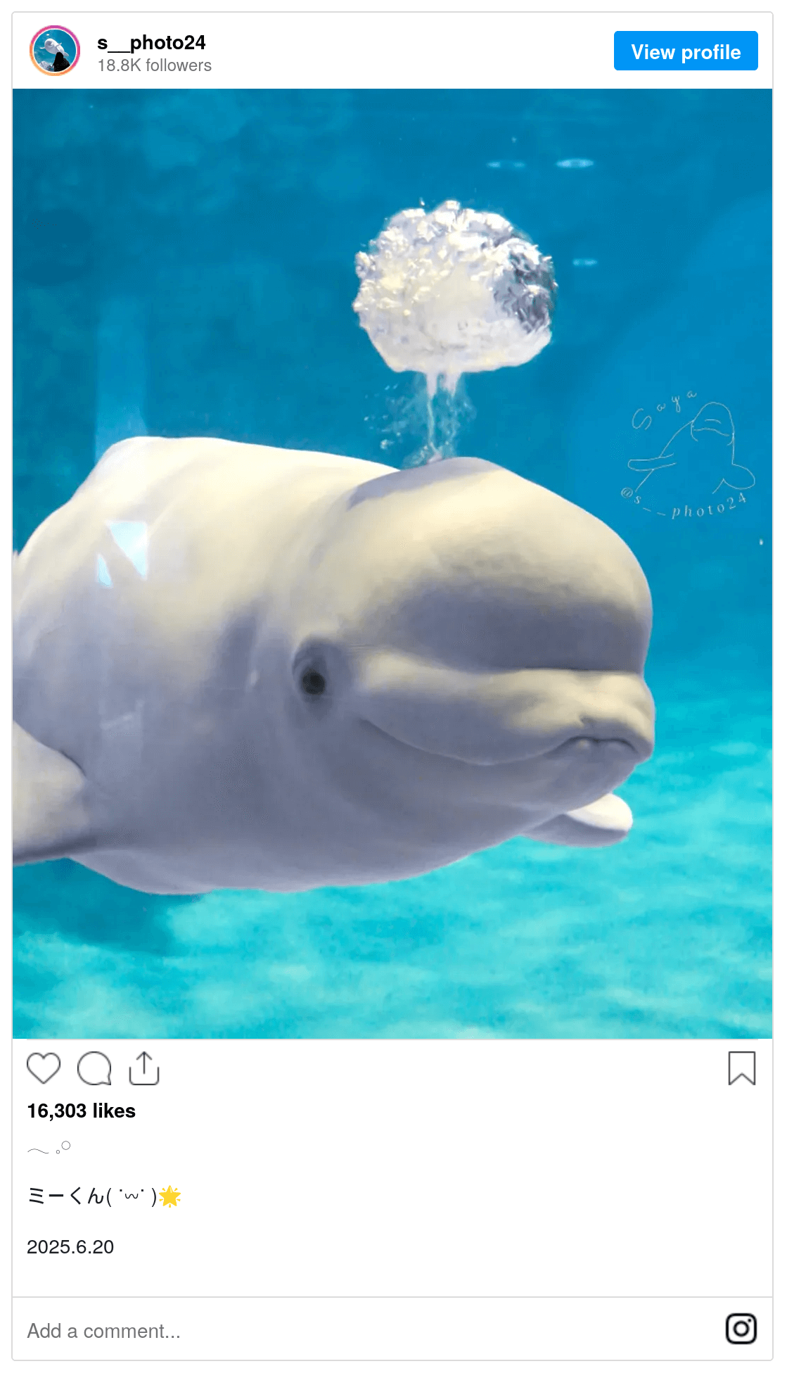 He has an idea